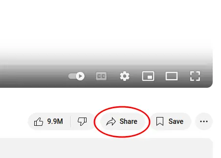 Highlighted YouTube Share button located below the video player.